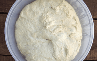 Cold Fermented Sourdough Pizza Dough – What is it?  Should you do it?  What are the Benefits?
