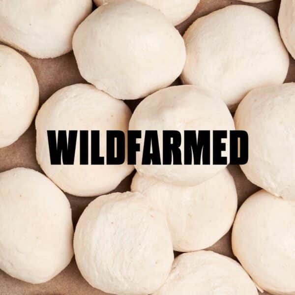Wildfarmed Sourdough Pizza Dough Balls - 32x 240g